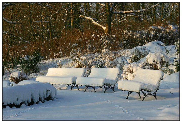 Winter im Park