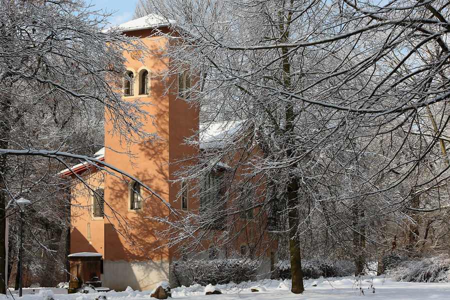 Winter im Park I