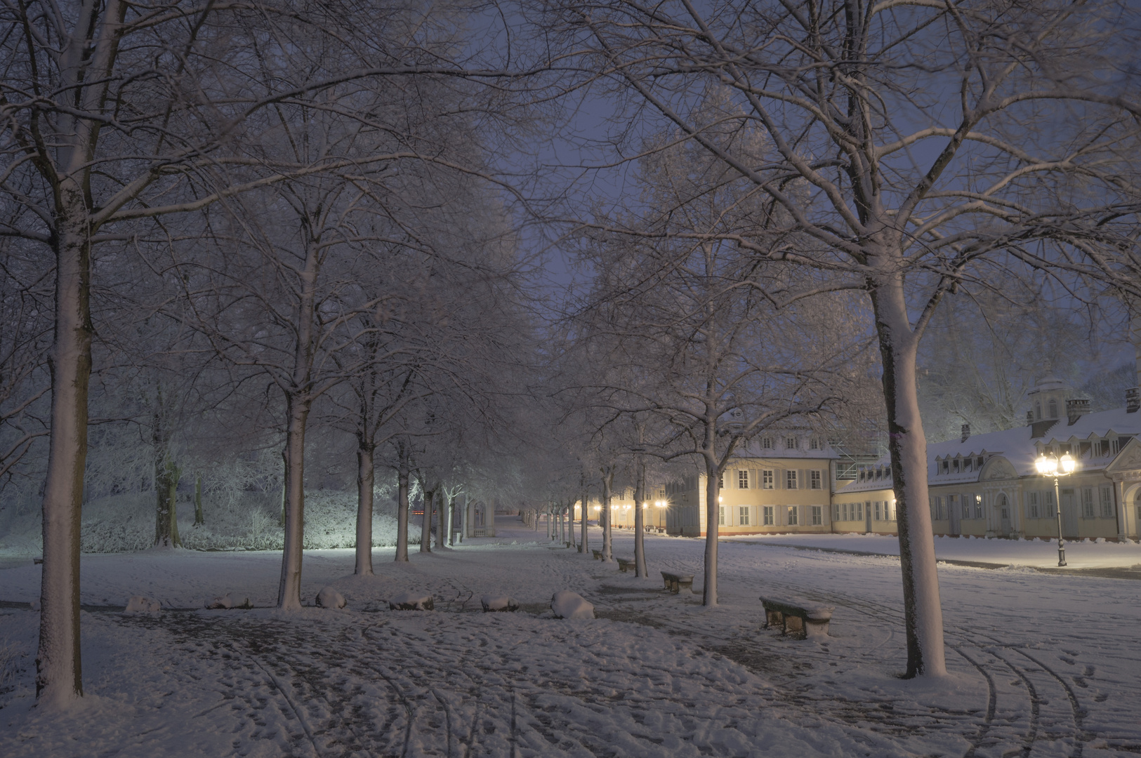 Winter im Park II