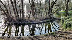 Winter im Park ohne Schnee