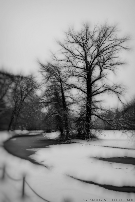 Winter im Park Sansssouci