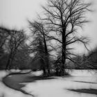 Winter im Park Sansssouci