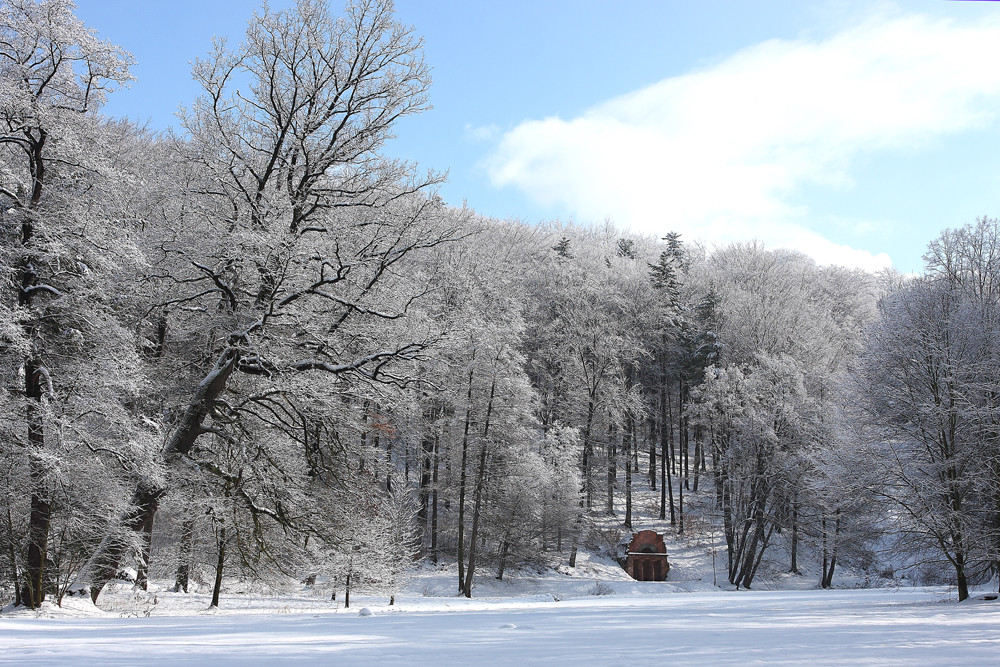 Winter im Park V