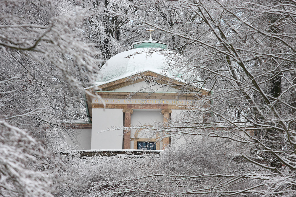 Winter im Park VI