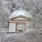 Winter im Park VI