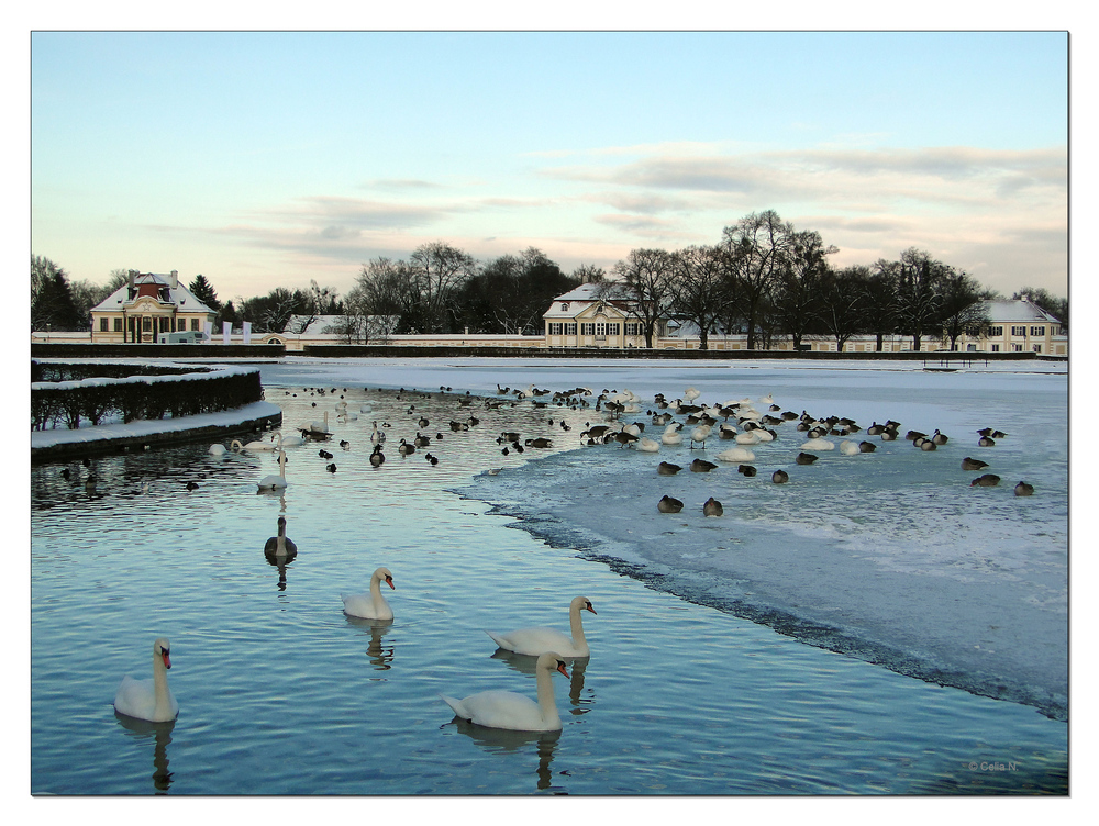 Winter im Park von Schloss Nymphenburg