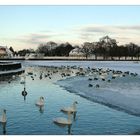 Winter im Park von Schloss Nymphenburg