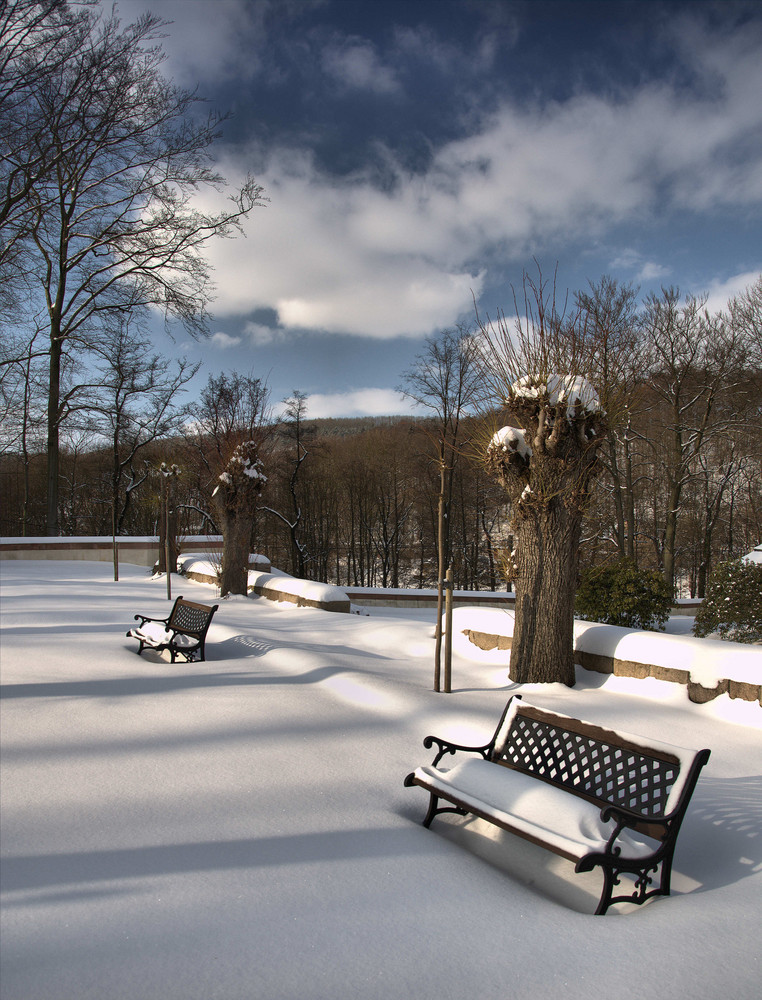 Winter im Park von Schloss Wolfsbrunn......, warten auf Besucher !