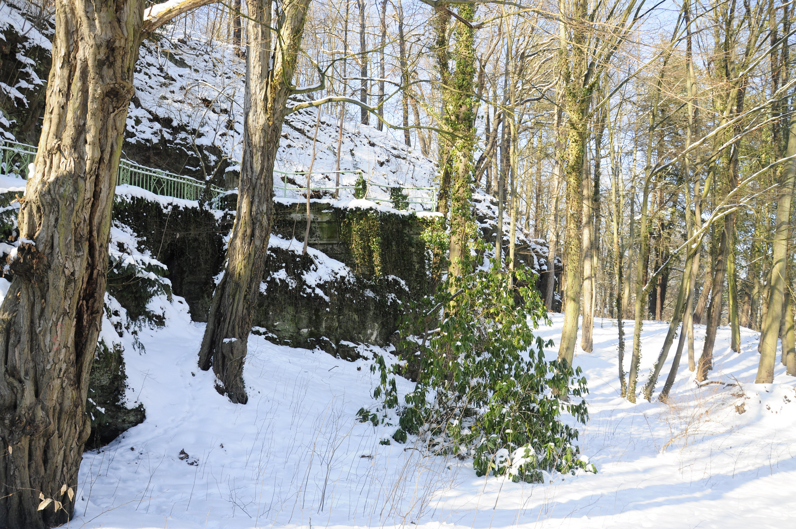 Winter im Park1