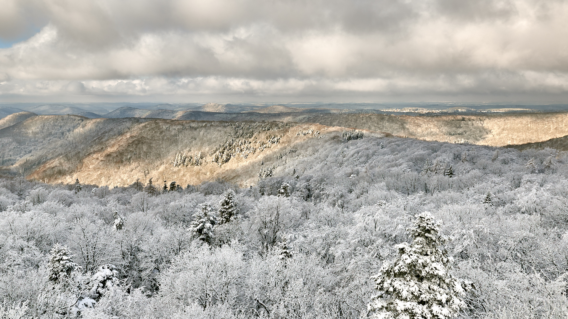 Winter im Pfälzer Bergland, ein herrliches Licht-Schattenspiel wurde uns geboten...