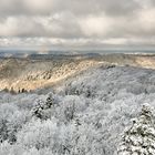 Winter im Pfälzer Bergland, ein herrliches Licht-Schattenspiel wurde uns geboten...