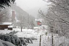 Winter im Pfälzerwald