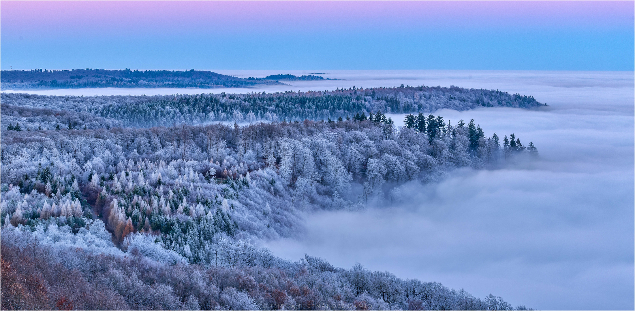 Winter im Pfälzerwald