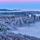 Winter im Pfälzerwald