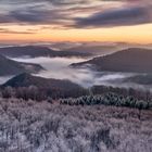 Winter im Pfälzerwald