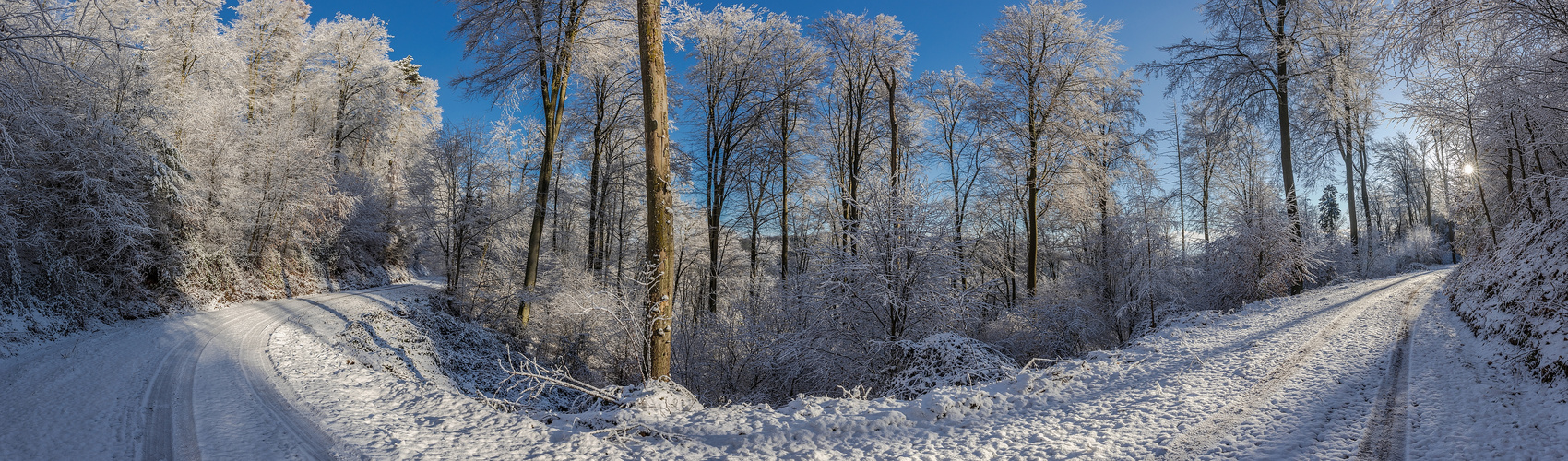 Winter im Pfälzerwald