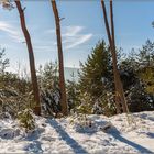 Winter im Pfälzerwald