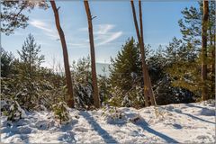 Winter im Pfälzerwald