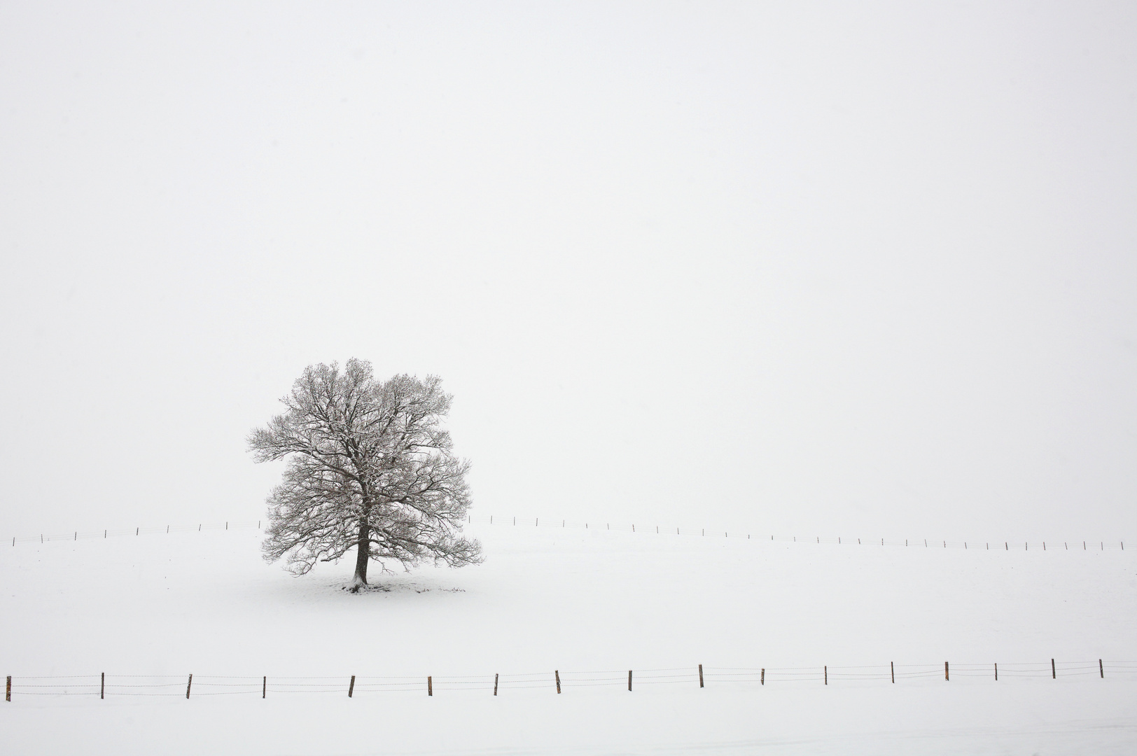 Winter im Pfaffenwinkel