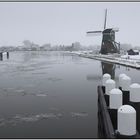 Winter im Polder 0020