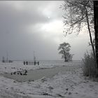 Winter im Polder 0105