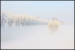 Winter im Polder 4