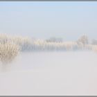 Winter im Polder 7