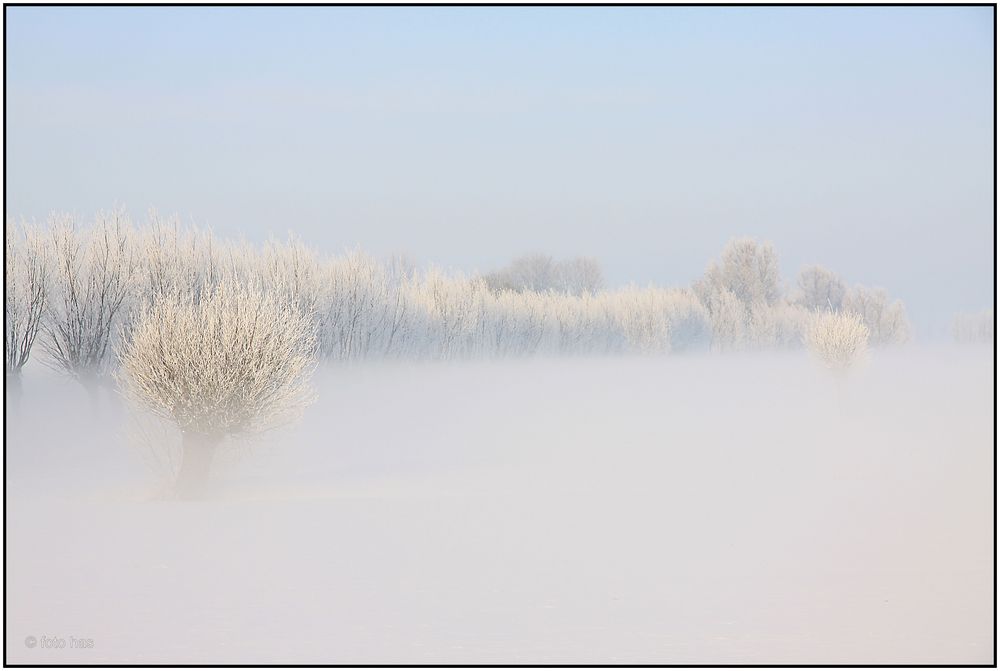 Winter im Polder 7