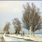 Winter im Polder 82