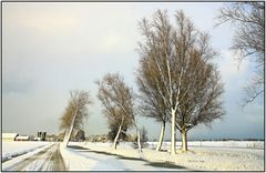 Winter im Polder 82