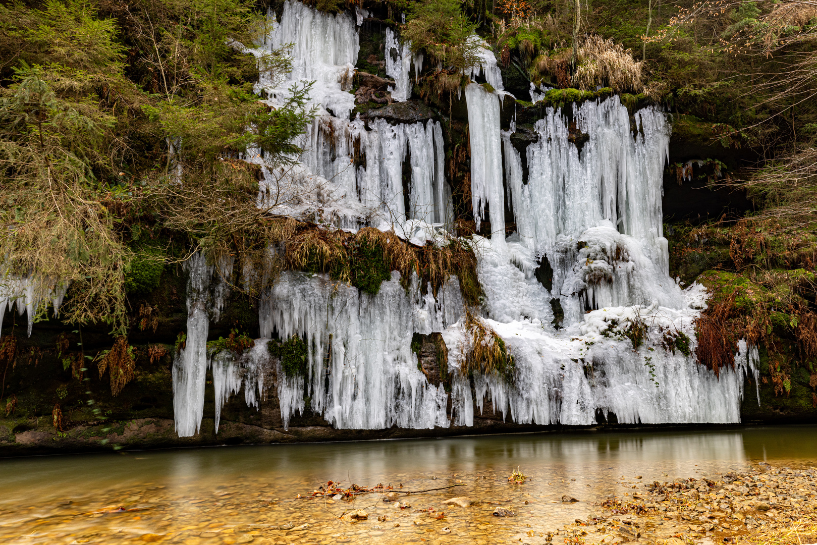 Winter im Polenz Tal