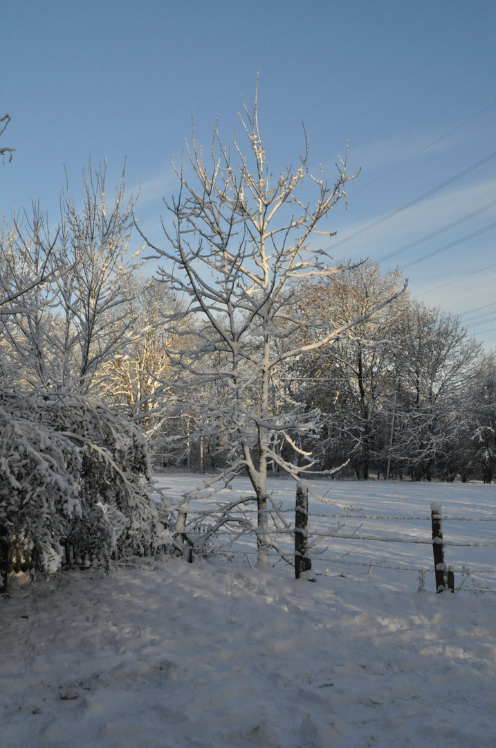 Winter im Pott