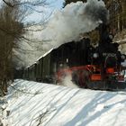 Winter im Preßnitztal