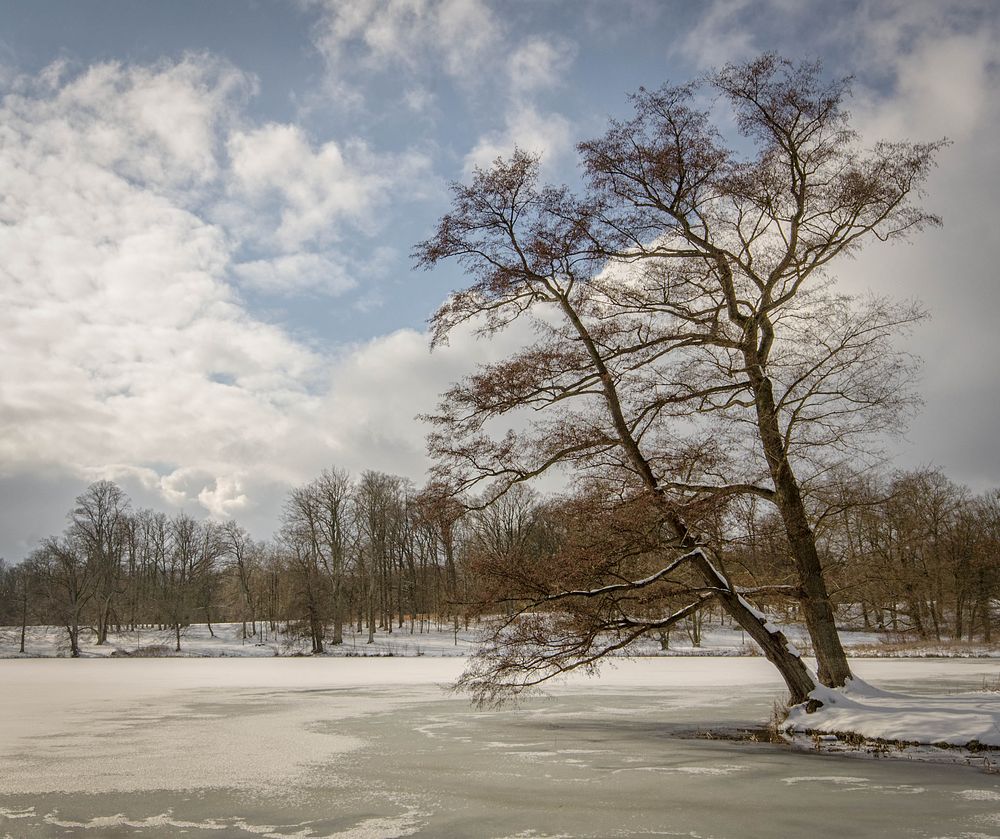 Winter im Putbusser Park