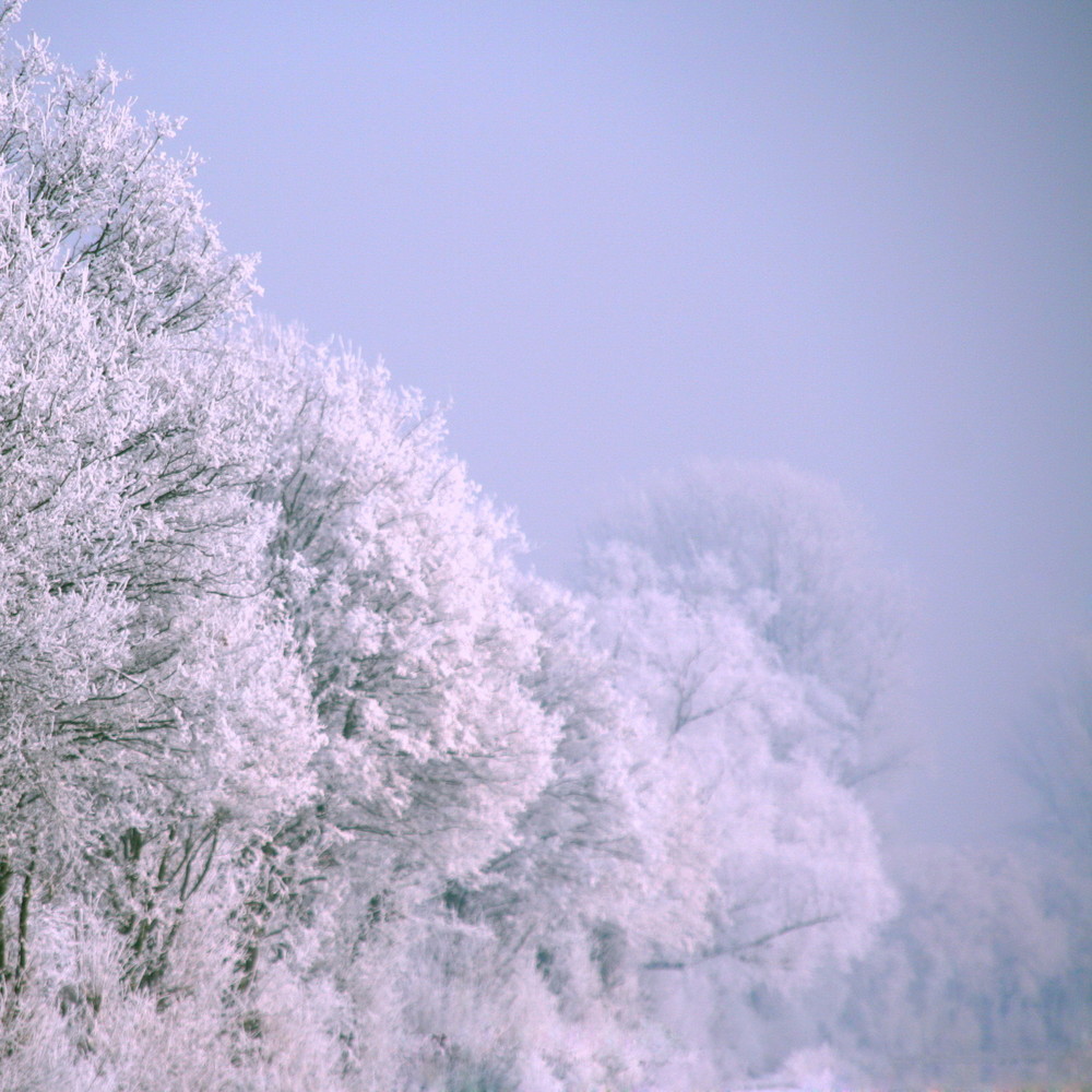 Winter im Quadrat 1