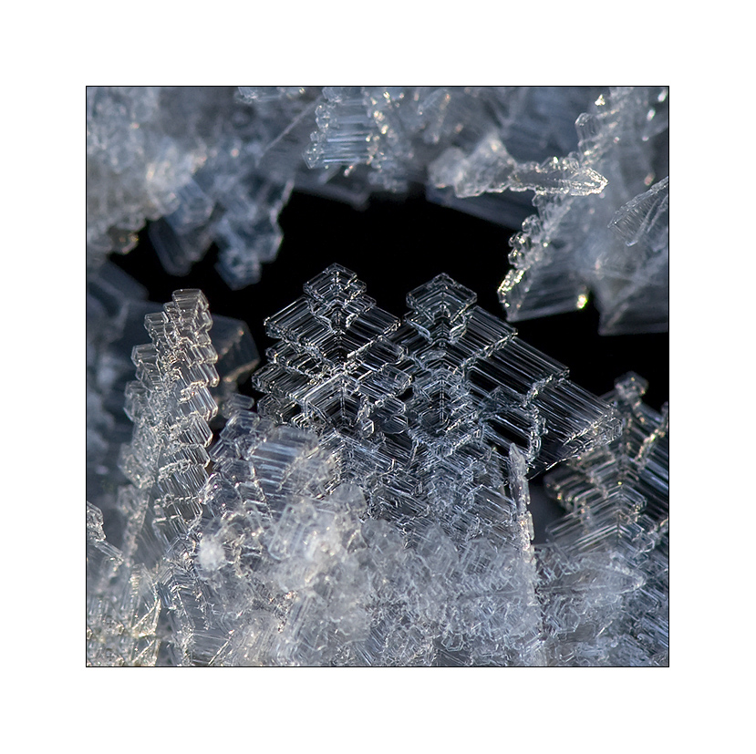 winter im quadrat #2