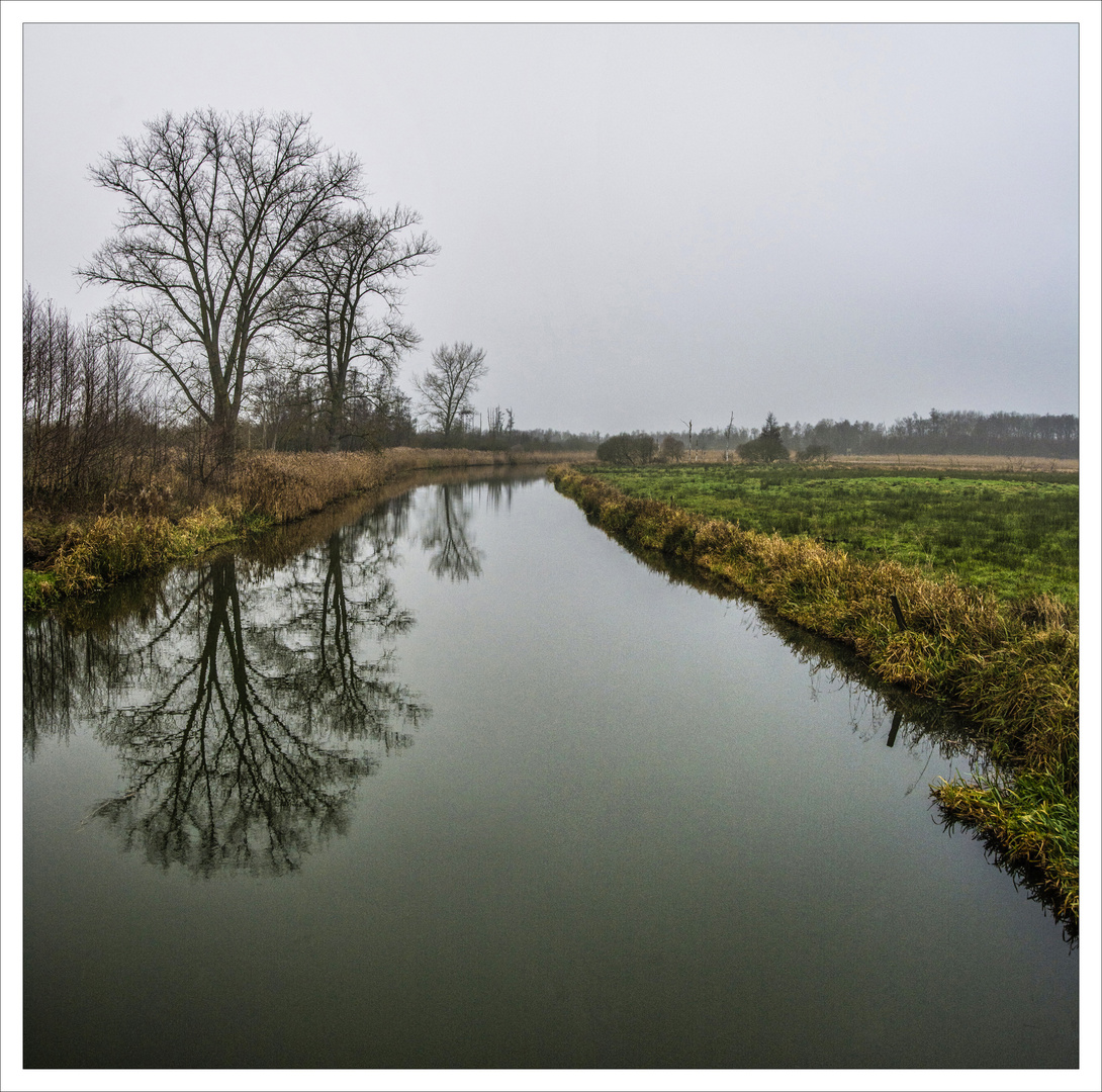 Winter im Recknitztal bei Marlow