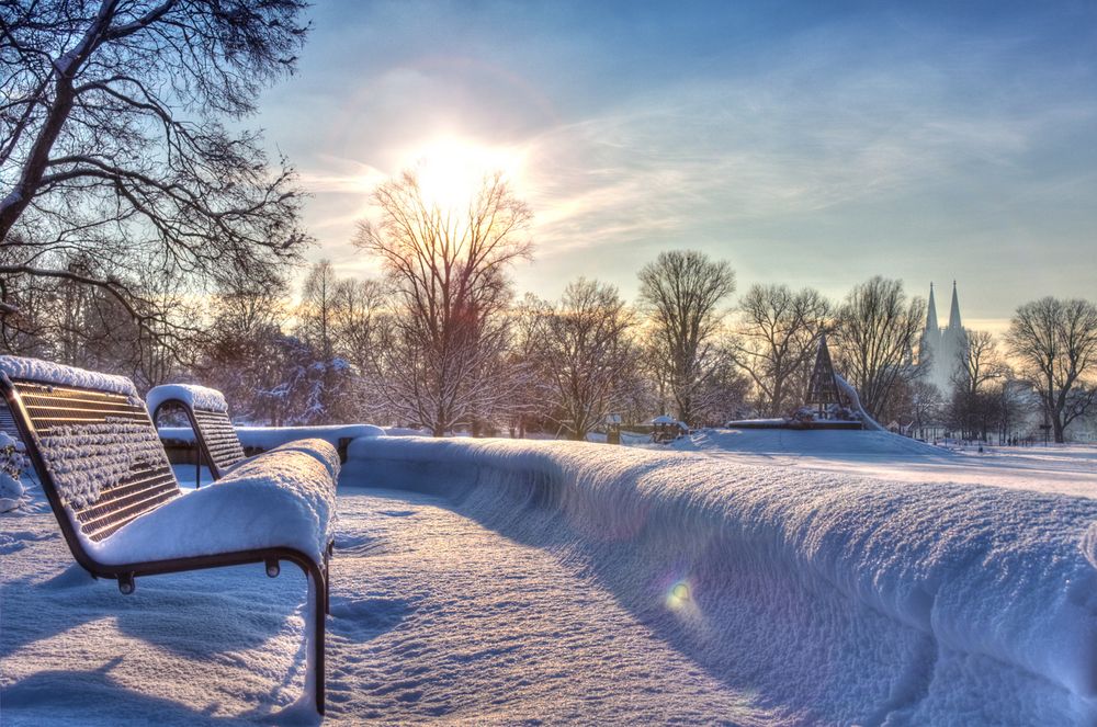 Winter im Rheinpark (Köln) von Thorin86 