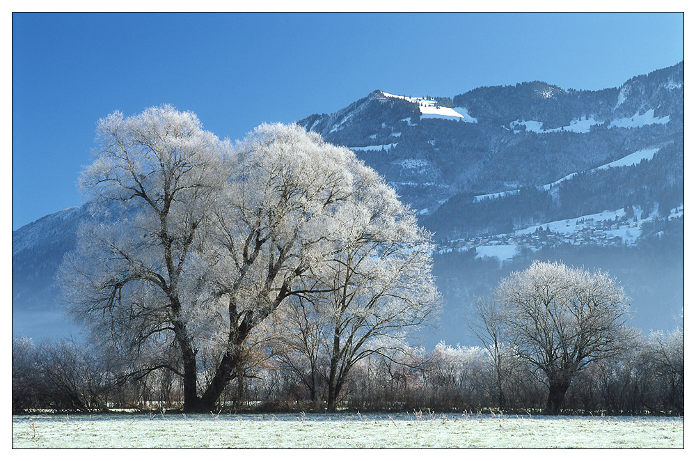Winter im Rheintal