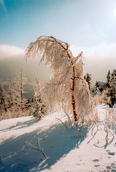 Winter im Riesengebirge