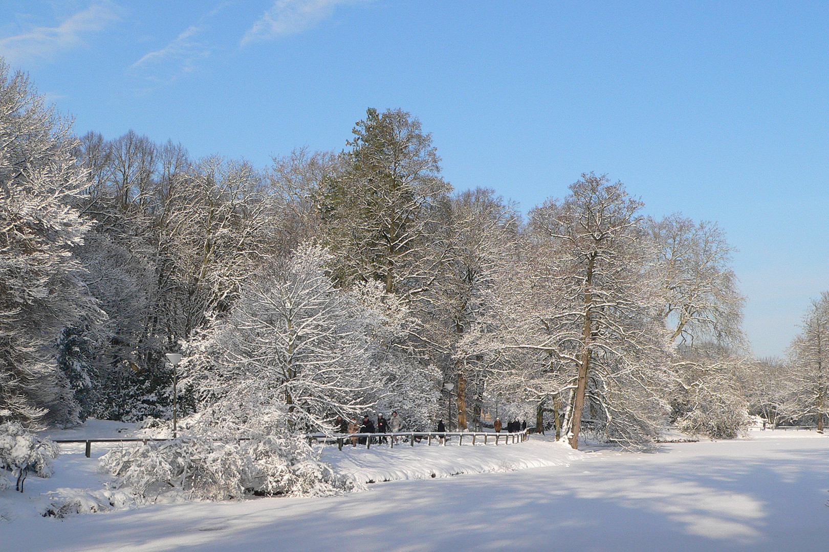 Winter im Rombergpark