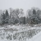 Winter im Rosengarten