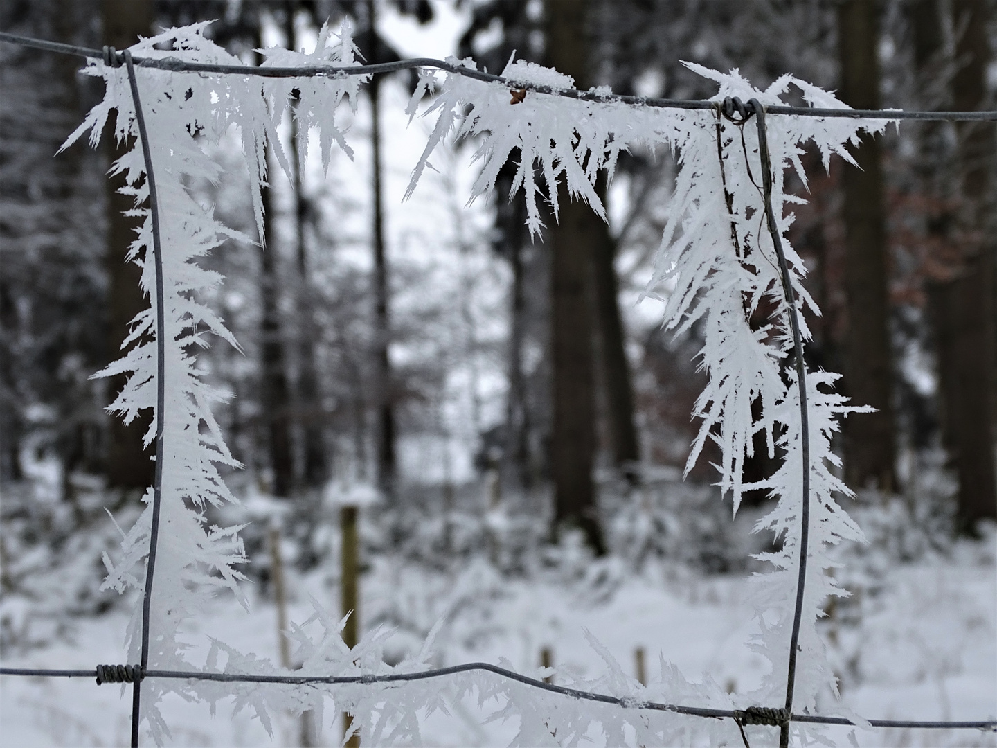 Winter im Rottal 