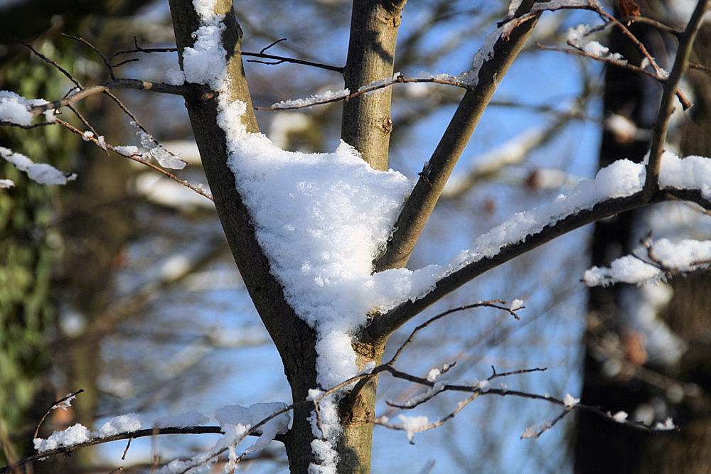 Winter im Ruhrgebiet 01