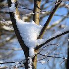 Winter im Ruhrgebiet 01