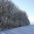 Winter im Ruhrgebiet 03