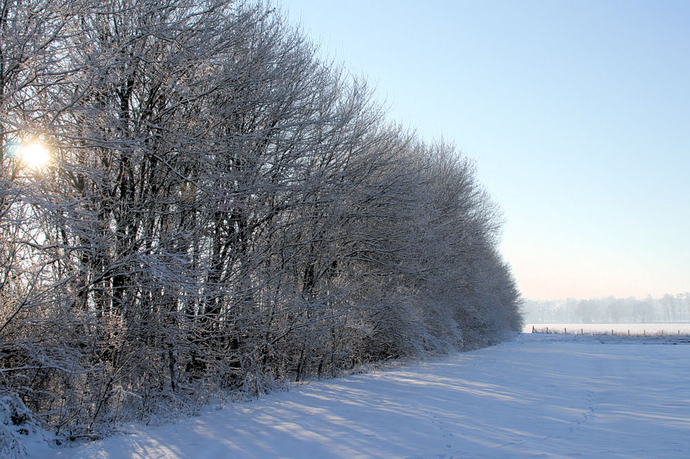 Winter im Ruhrgebiet 03