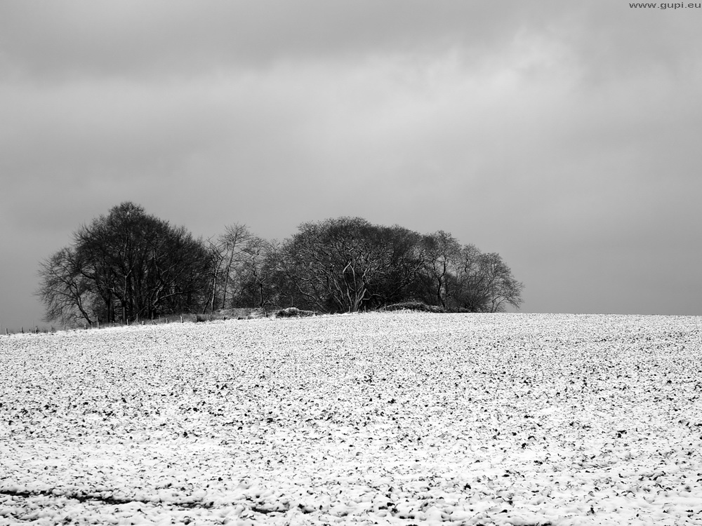 Winter im Ruhrgebiet