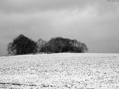 Winter im Ruhrgebiet