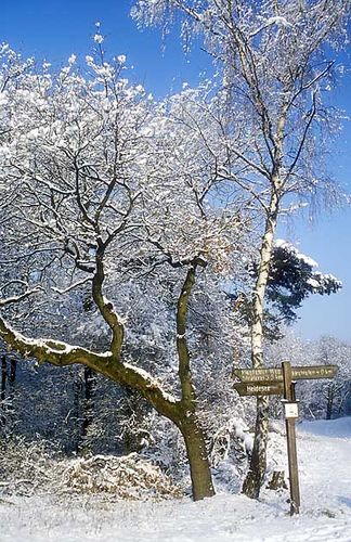 Winter im Ruhrgebiet